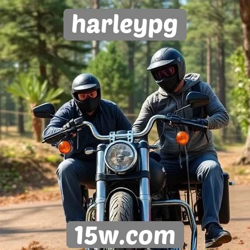 Experiência do usuário no site Harleypg